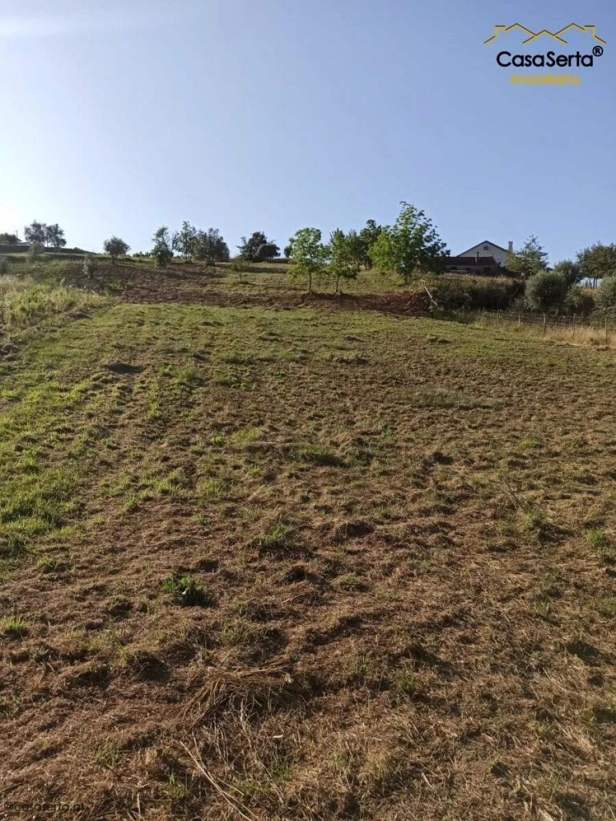 Terreno para Venda em Santiago e São Simão de Litém e Albergaria dos Doze Foto 3