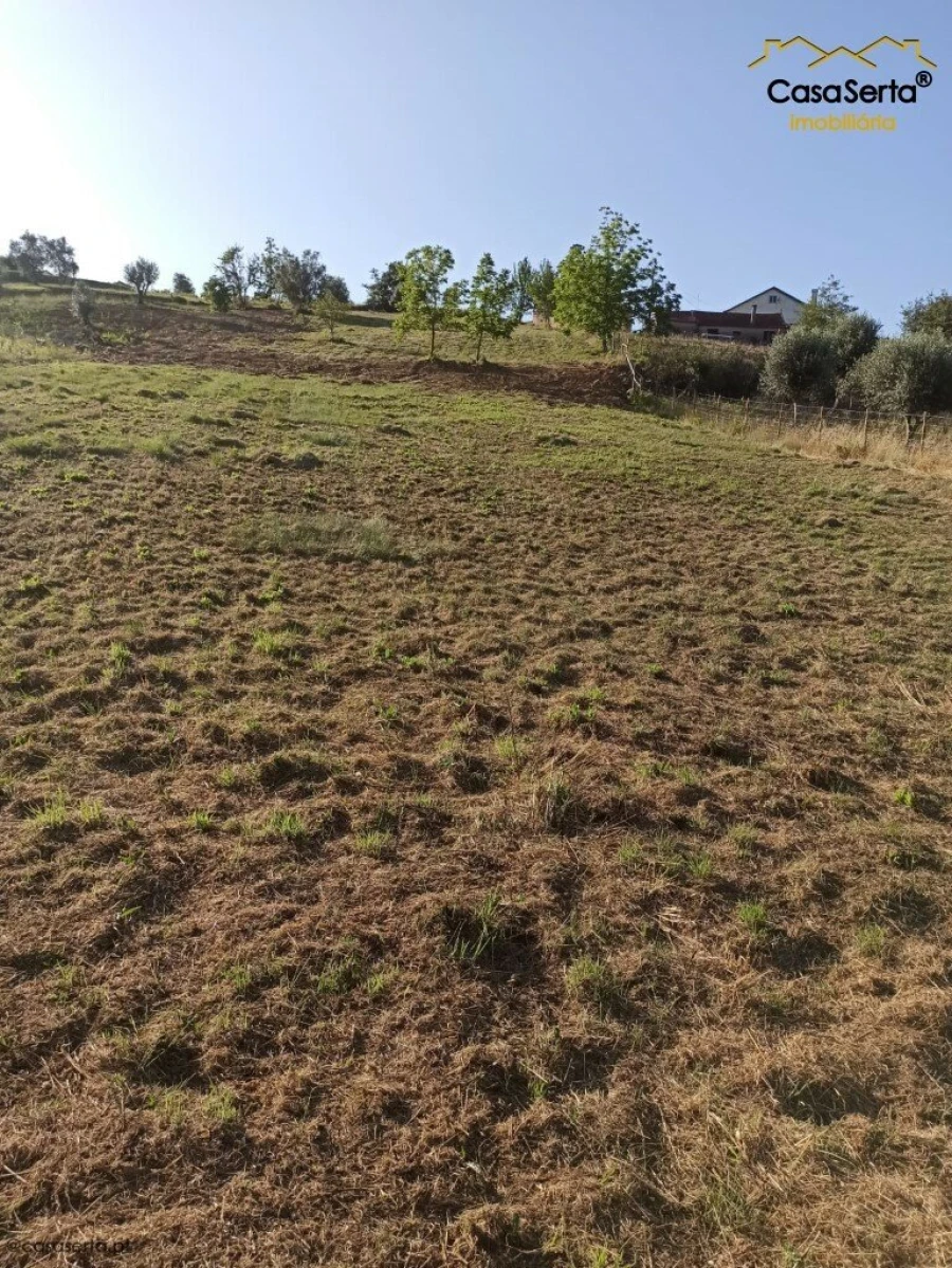 Terreno para Venda em Santiago e São Simão de Litém e Albergaria dos Doze Foto 4