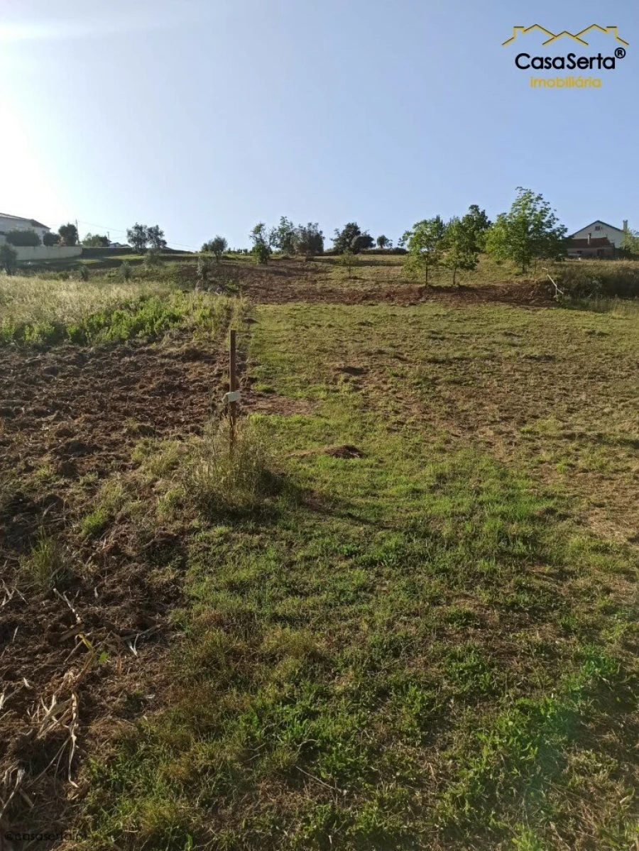 Terreno para Venda em Santiago e São Simão de Litém e Albergaria dos Doze Foto 1