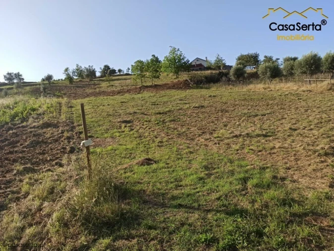 Terreno para Venda em Santiago e São Simão de Litém e Albergaria dos Doze Foto 5