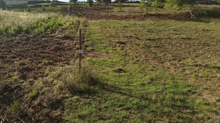 Terreno para Venda em Santiago e São Simão de Litém e Albergaria dos Doze