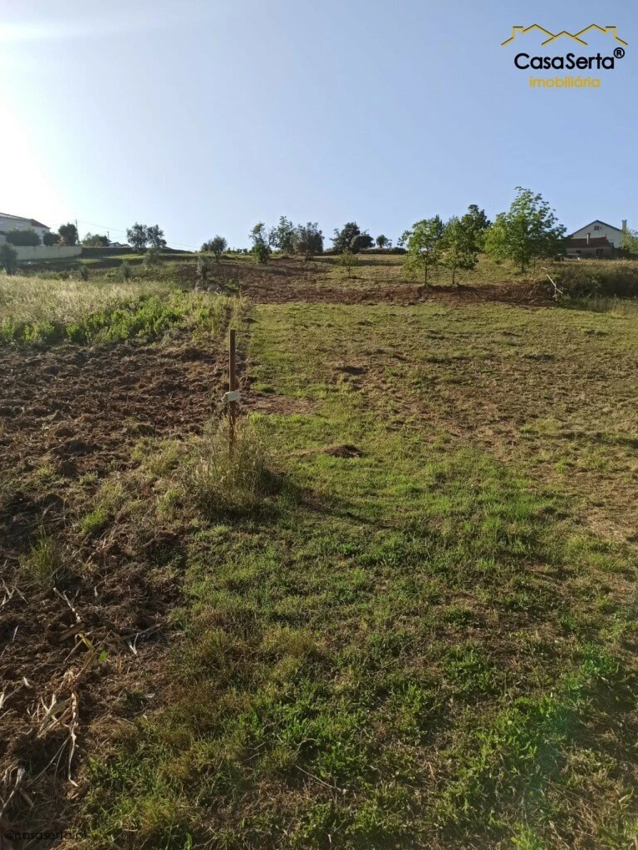 Terreno para Venda em Santiago e São Simão de Litém e Albergaria dos Doze Foto 1