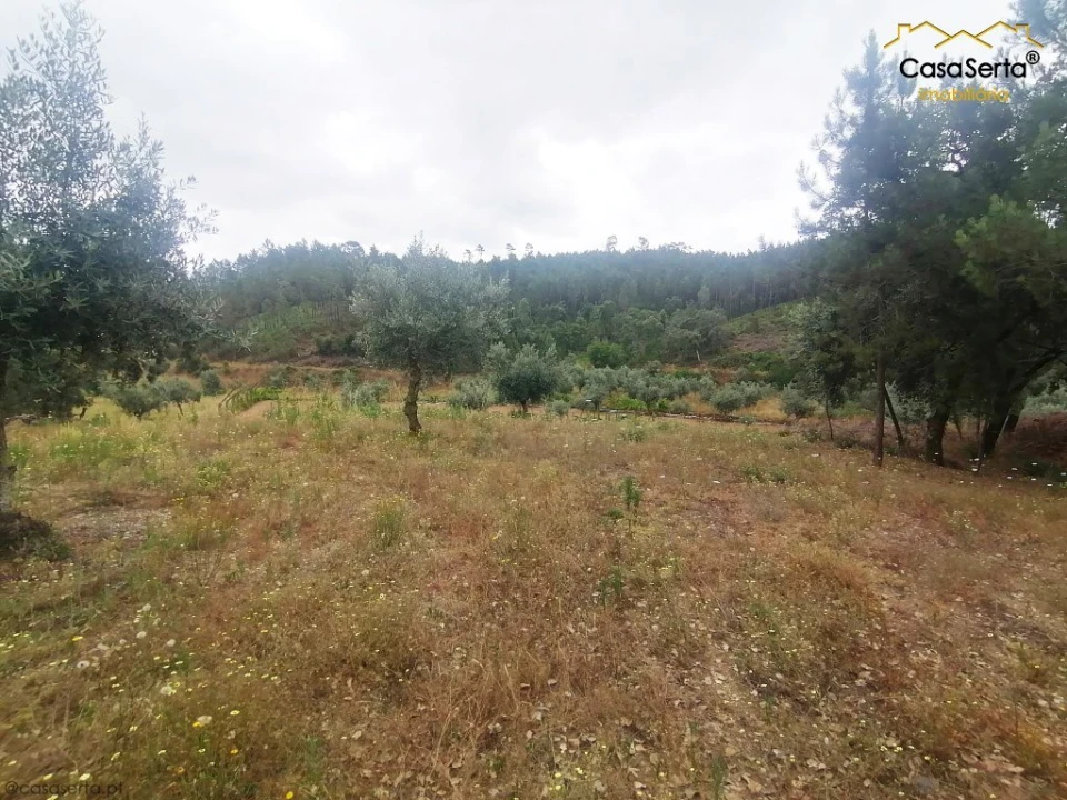 Terreno para Venda em Cumeada e Marmeleiro Foto 3
