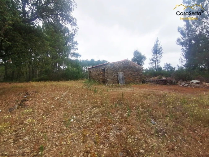 Terreno para Venda em Cumeada e Marmeleiro Foto 1