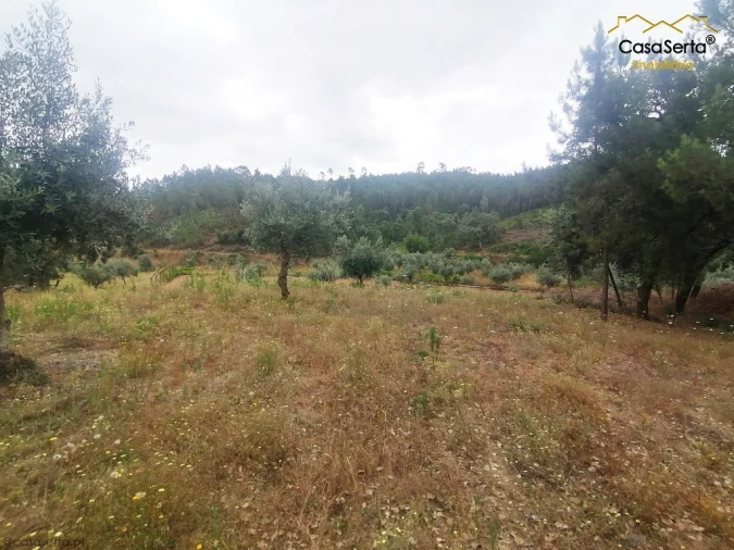Terreno para Venda em Cumeada e Marmeleiro Foto 3