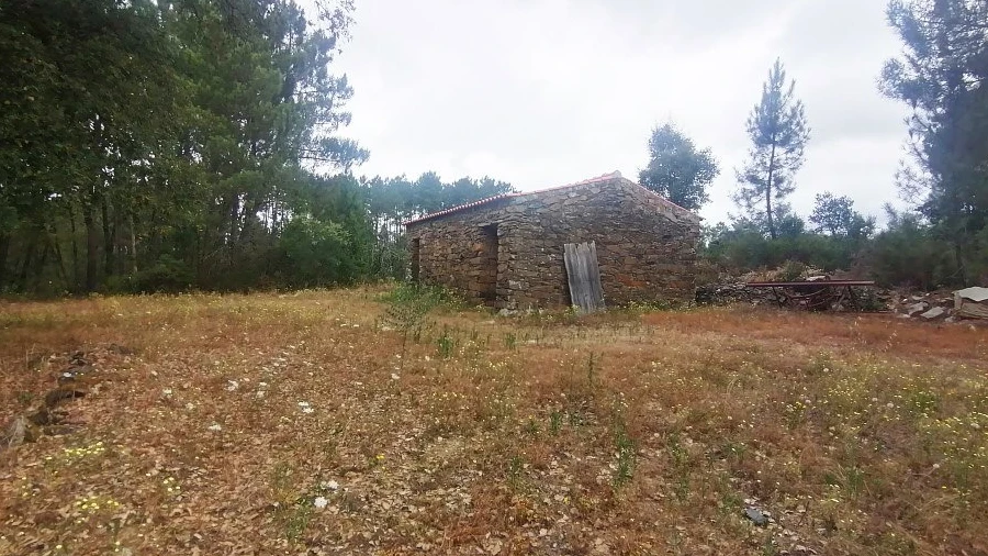 Terreno para Venda em Cumeada e Marmeleiro