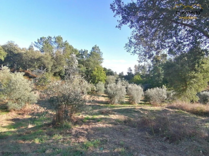 Terreno para Venda em Cabeçudo Foto 5