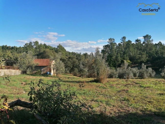 Terreno para Venda em Cabeçudo Foto 3