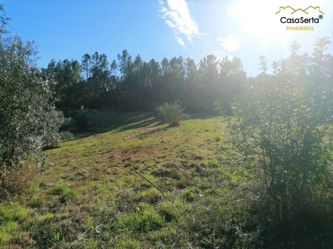 Terreno para Venda em Cabeçudo