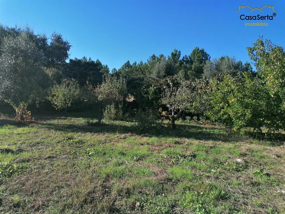 Terreno para Venda em Cabeçudo Foto 2