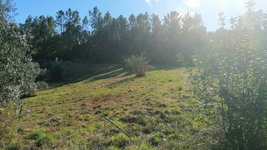 Terreno para Venda em Cabeçudo