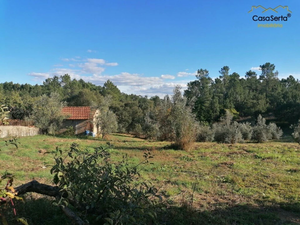Terreno para Venda em Cabeçudo Foto 3