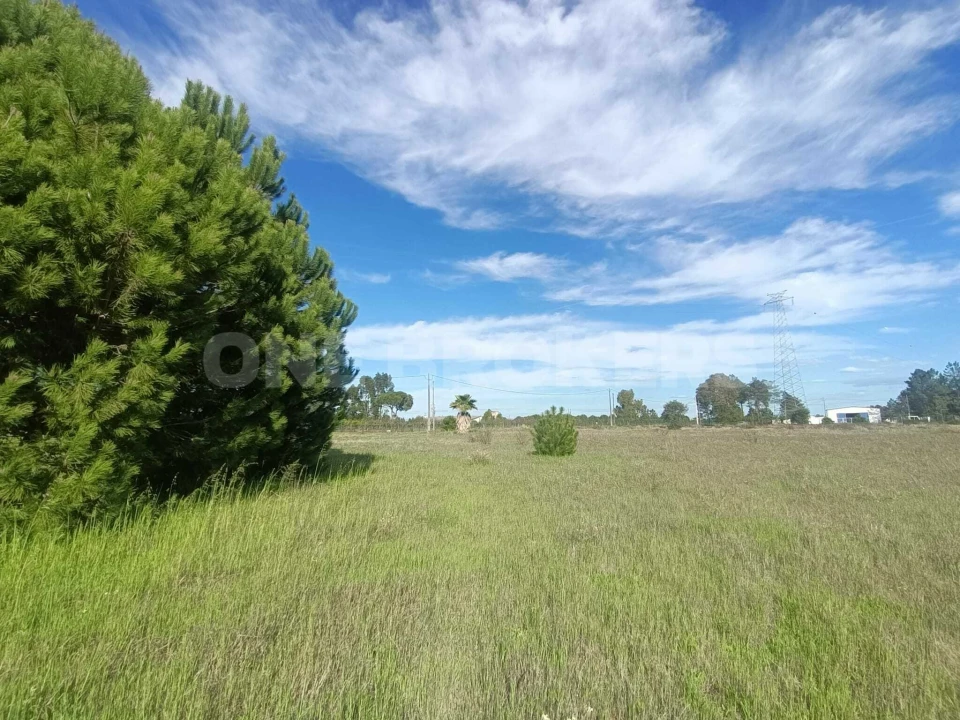 Terreno para Venda em Santo Estêvão Foto 8