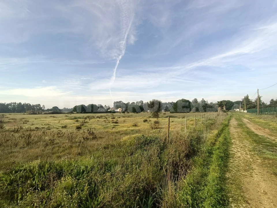 Terreno para Venda em Santo Estêvão Foto 4