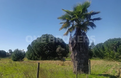 Terreno para Venda em Santo Estêvão