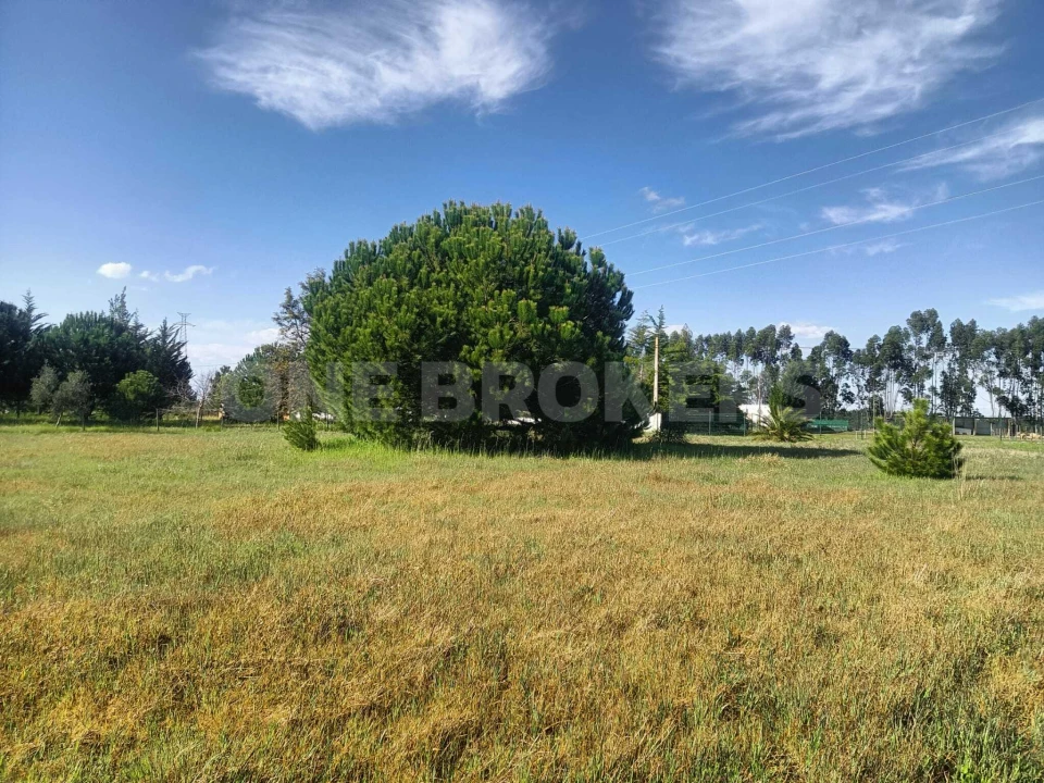 Terreno para Venda em Santo Estêvão Foto 9