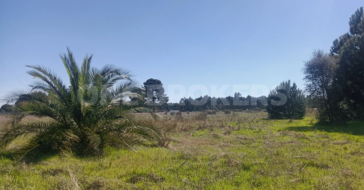 Terreno para Venda em Santo Estêvão Foto 7