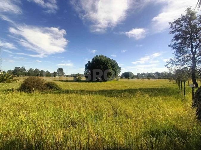 Terreno para Venda em Santo Estêvão Foto 11