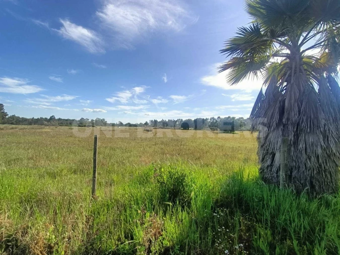 Terreno para Venda em Santo Estêvão Foto 3
