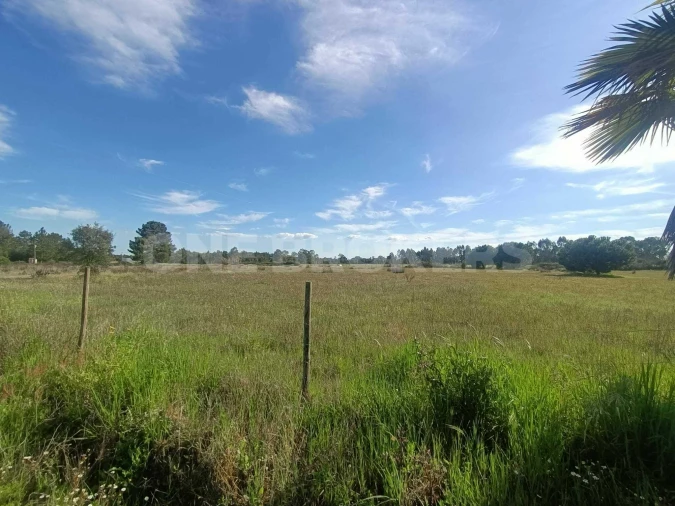 Terreno para Venda em Santo Estêvão Foto 12