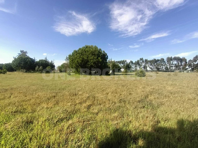 Terreno para Venda em Santo Estêvão Foto 6