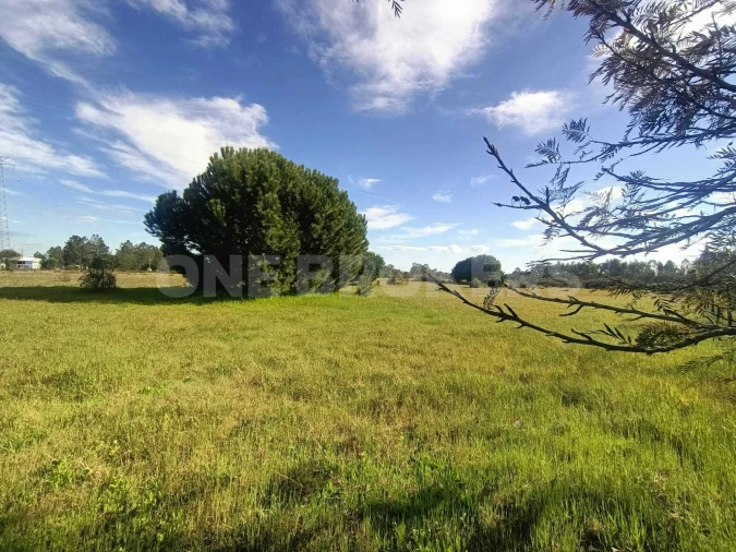 Terreno para Venda em Santo Estêvão Foto 10