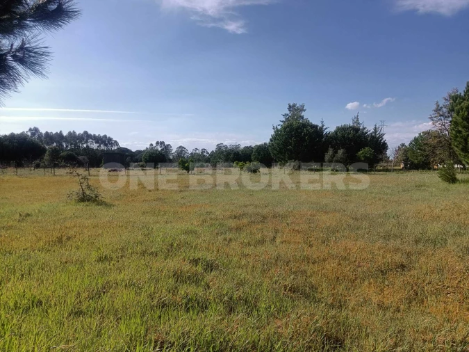 Terreno para Venda em Santo Estêvão Foto 14