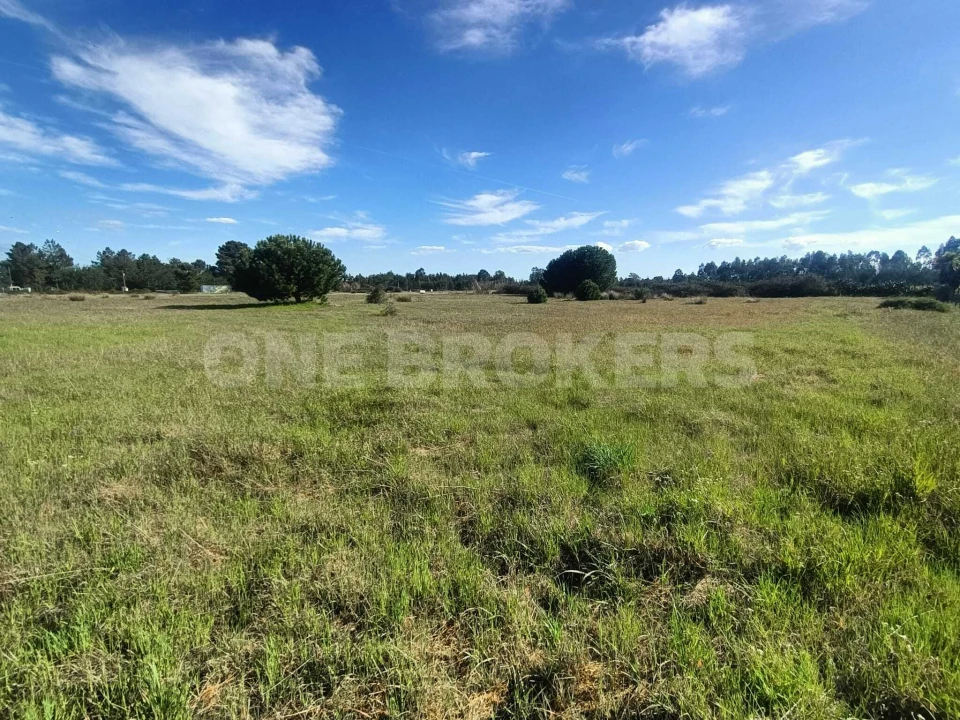 Terreno para Venda em Santo Estêvão Foto 13