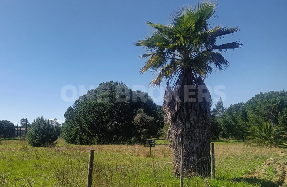 Terreno para Venda em Santo Estêvão Foto 1