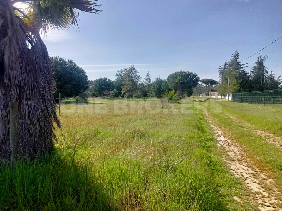 Terreno para Venda em Santo Estêvão Foto 2