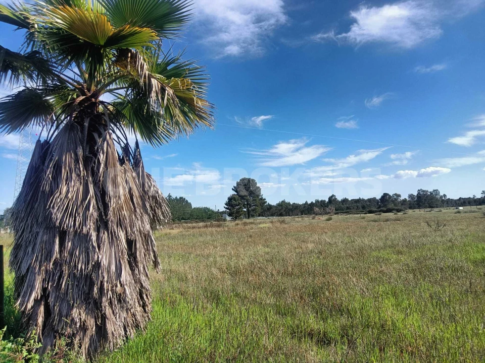 Terreno para Venda em Santo Estêvão Foto 1