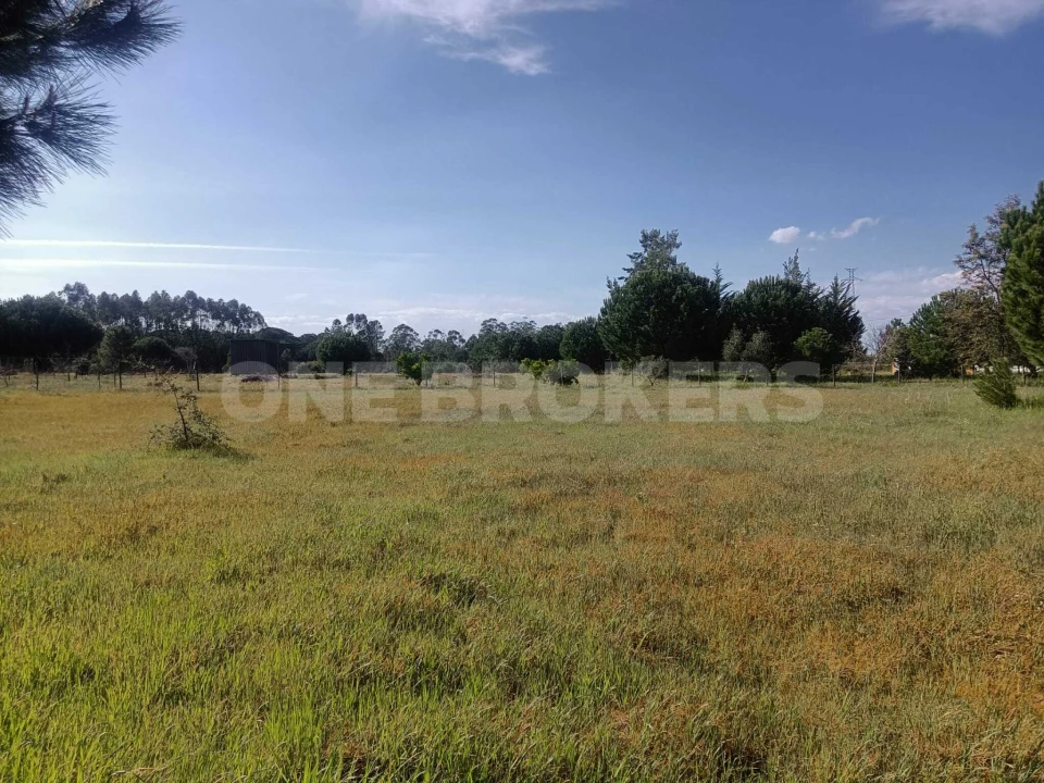 Terreno para Venda em Santo Estêvão Foto 14