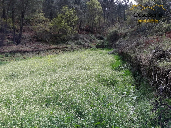 Terreno para Venda em Castelo Foto 3