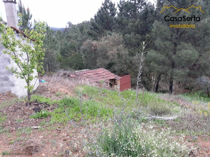 Terreno para Venda em Castelo Foto 19