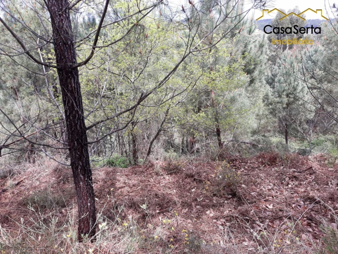 Terreno para Venda em Castelo Foto 11