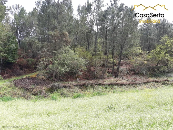 Terreno para Venda em Castelo Foto 4