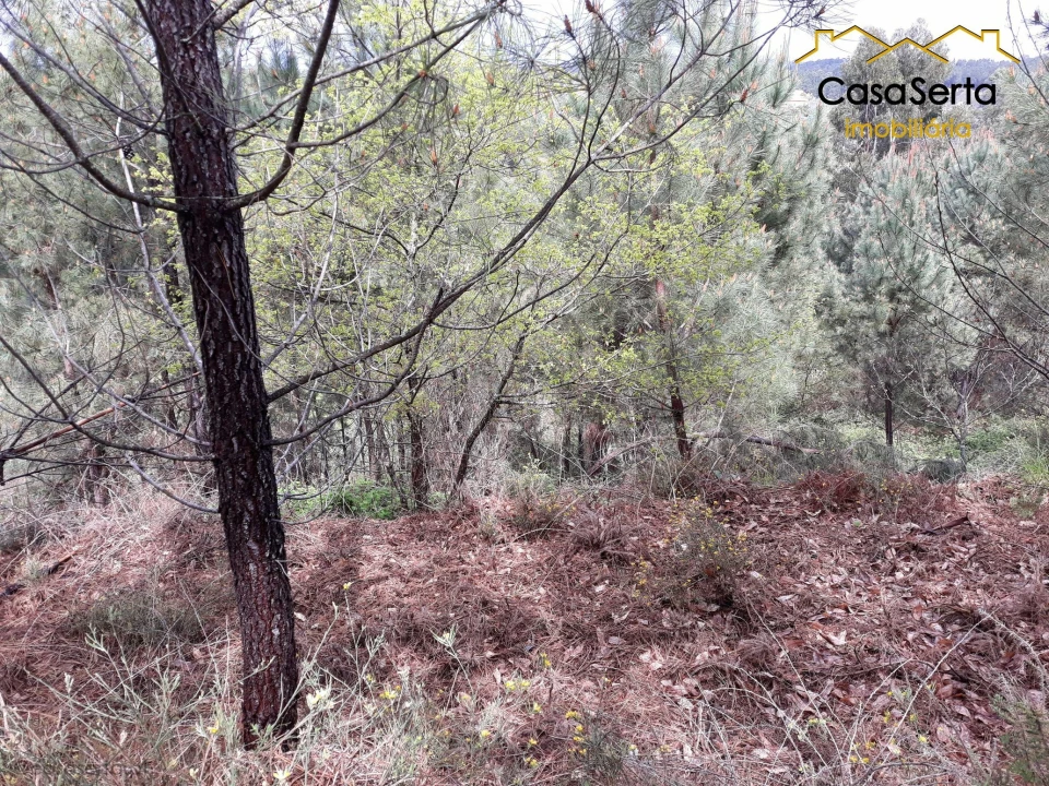 Terreno para Venda em Castelo Foto 11