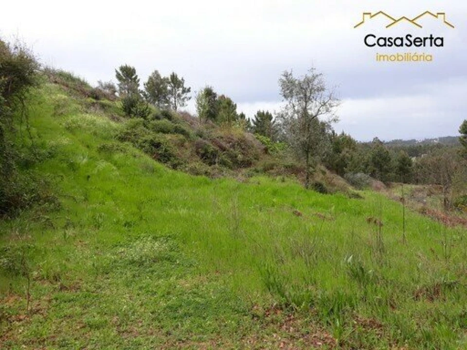 Terreno para Venda em Castelo Foto 1