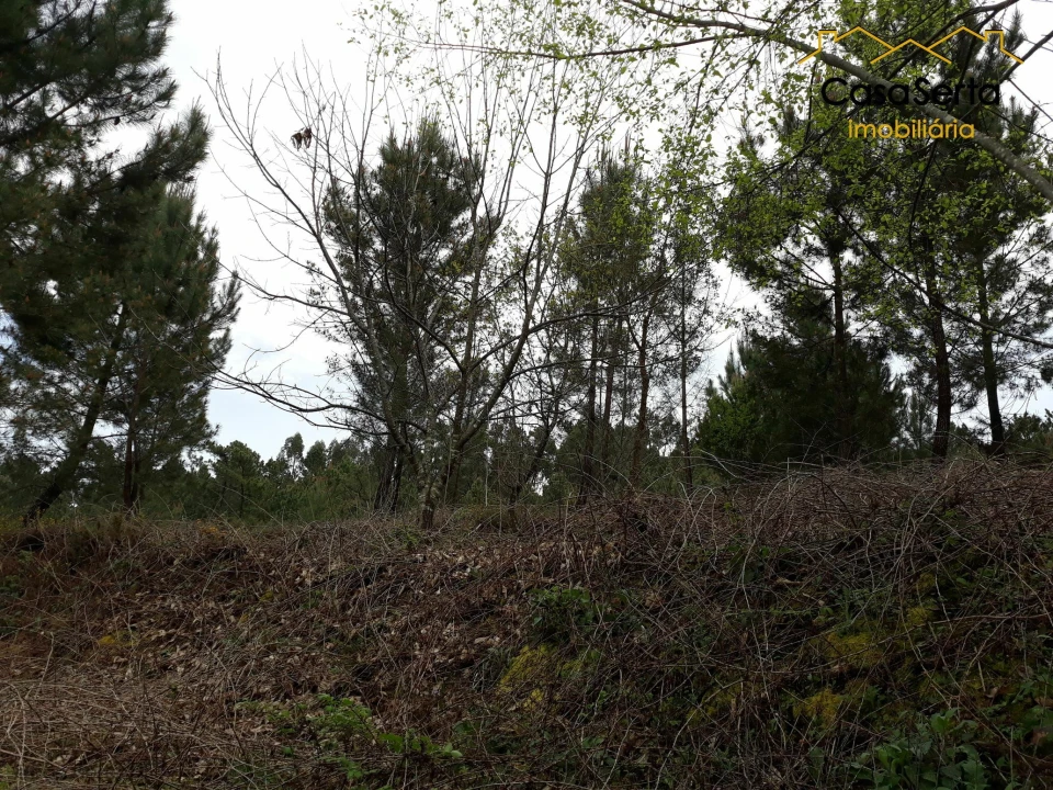 Terreno para Venda em Castelo Foto 13