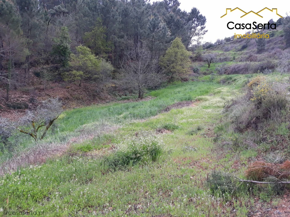 Terreno para Venda em Castelo Foto 15