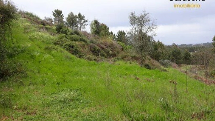 Terreno para Venda em Castelo