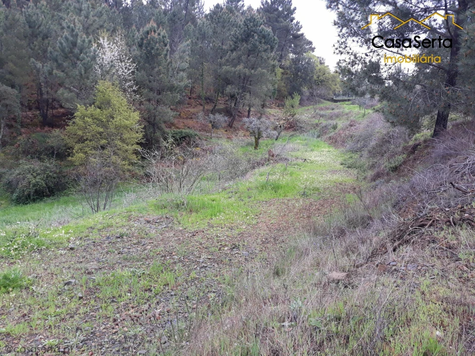Terreno para Venda em Castelo Foto 20