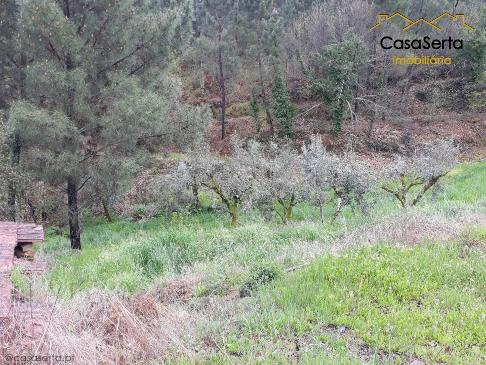 Terreno para Venda em Castelo Foto 16