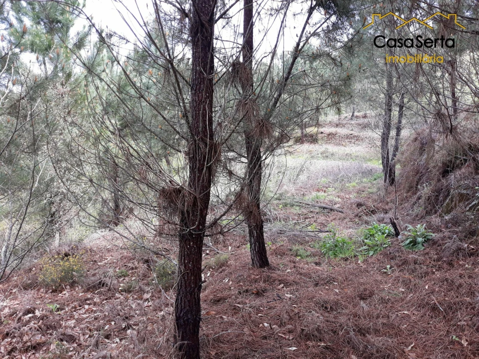 Terreno para Venda em Castelo Foto 9
