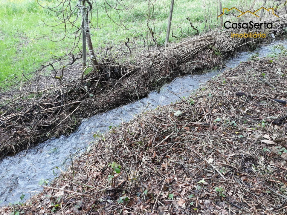 Terreno para Venda em Castelo Foto 2