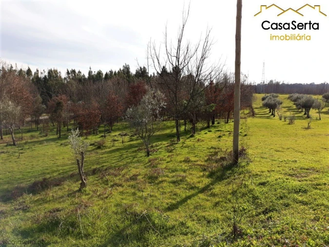 Terreno para Venda em Pedrogão Grande Foto 2