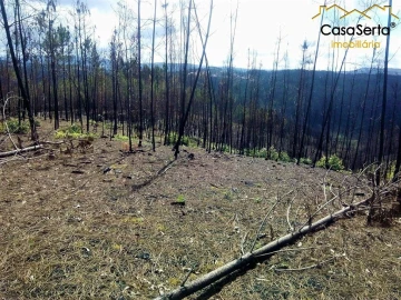 Terreno para Venda em Sertã