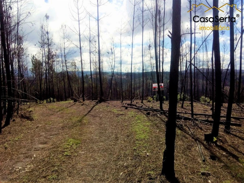 Terreno para Venda em Sertã Foto 1