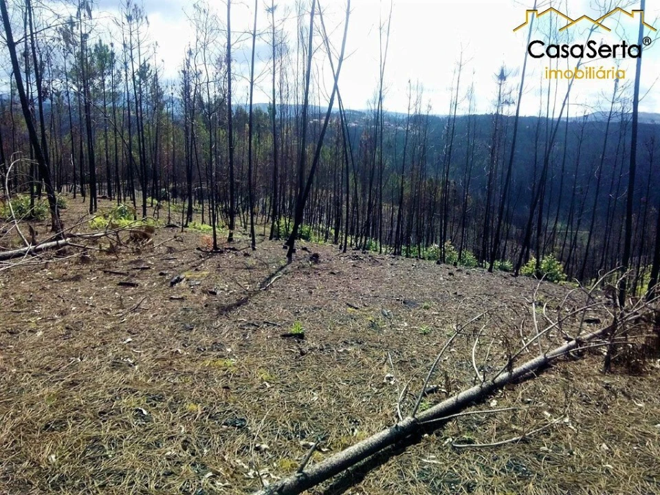 Terreno para Venda em Sertã Foto 3