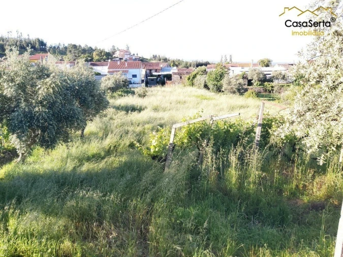 Terreno para Venda em Figueiró dos Vinhos e Bairradas Foto 5